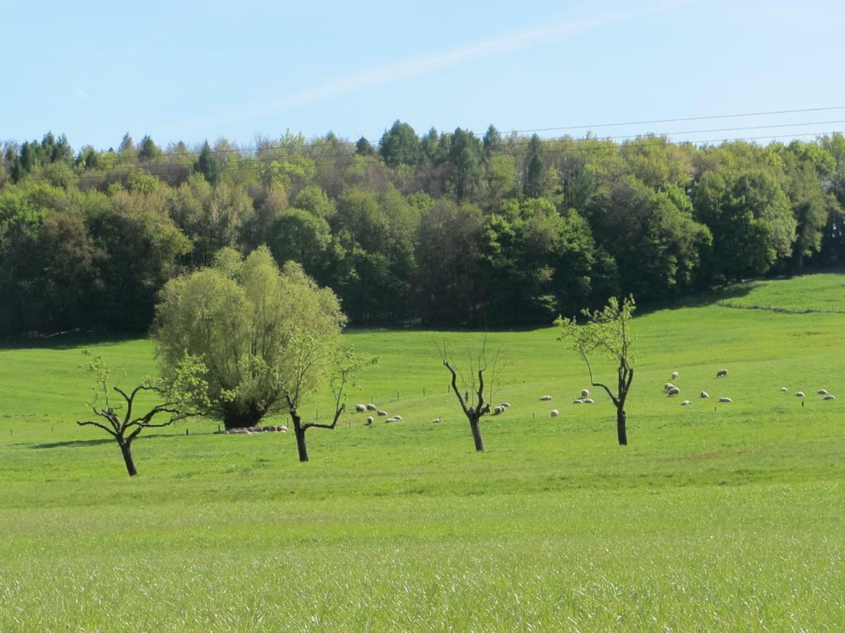 Gites Du Tilleul Gumbrechtshoffen Kültér fotó