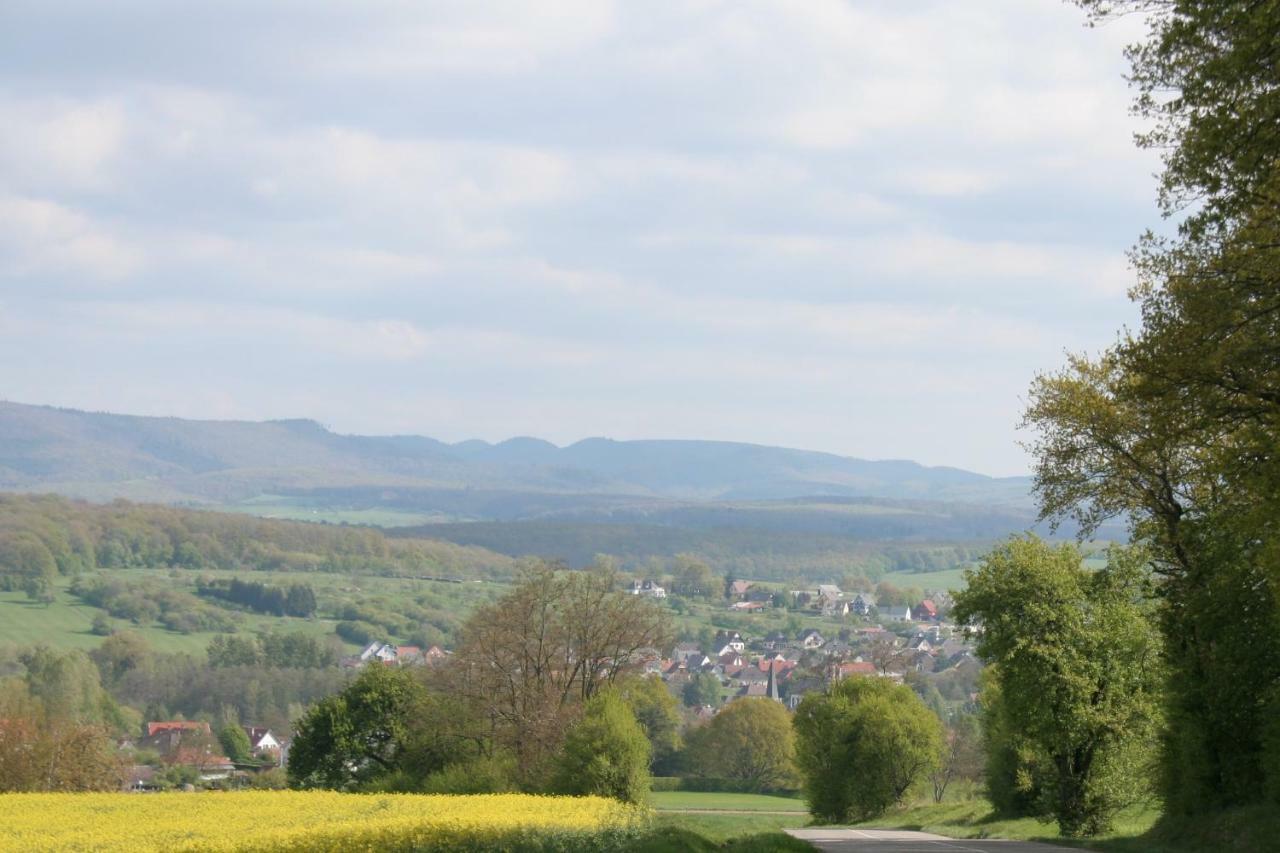 Gites Du Tilleul Gumbrechtshoffen Kültér fotó