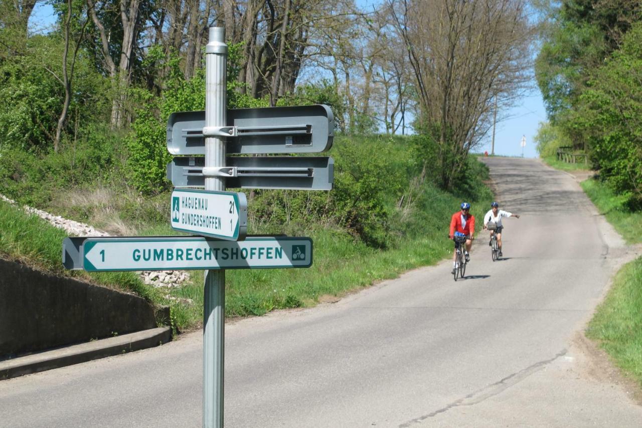 Gites Du Tilleul Gumbrechtshoffen Kültér fotó